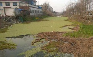 聚丙烯酰胺在中国农村生活污水中的应用