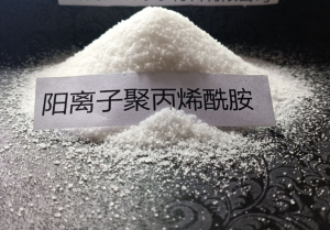 阳离子聚丙烯酰胺离子度代表什么