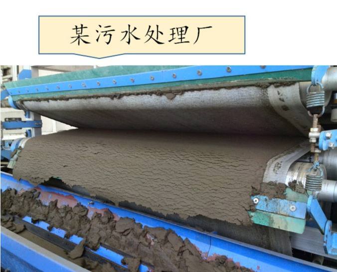 timg (3).jpg timg (3).jpg