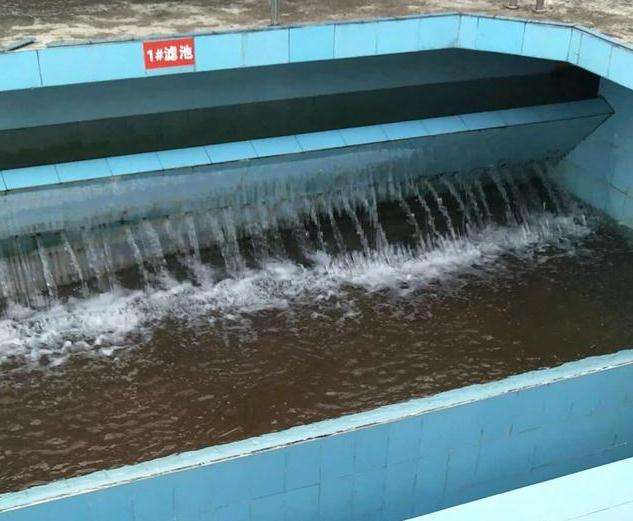 timg (6).jpg timg (6).jpg