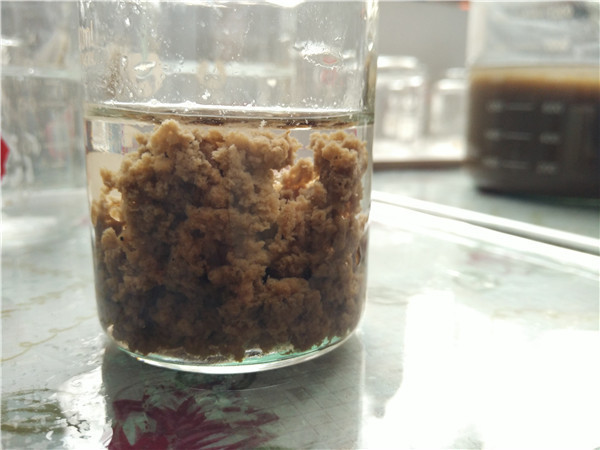 dfca2a4a18ce48a496adeb6bde110b1e.jpeg dfca2a4a18ce48a496adeb6bde110b1e.jpeg